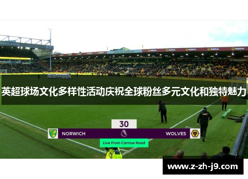 英超球场文化多样性活动庆祝全球粉丝多元文化和独特魅力