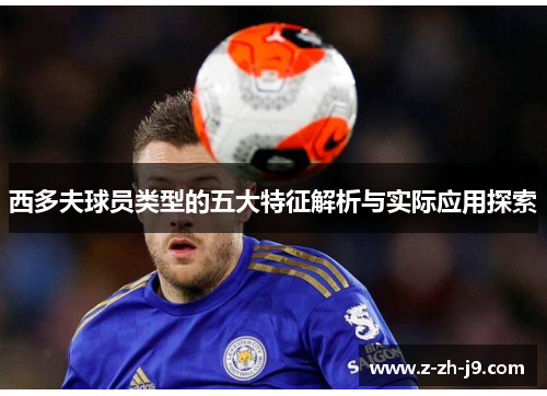 西多夫球员类型的五大特征解析与实际应用探索 西多夫球员类型的五大特征解析与实际应用探索