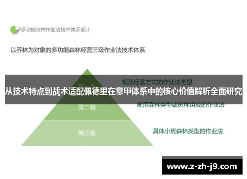 从技术特点到战术适配佩德里在意甲体系中的核心价值解析全面研究