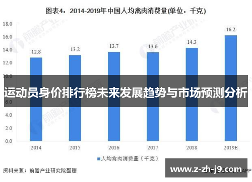 运动员身价排行榜未来发展趋势与市场预测分析
