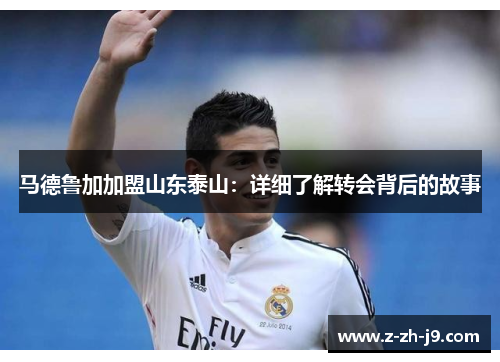 马德鲁加加盟山东泰山：详细了解转会背后的故事